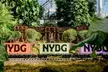 Holiday Tea Experience & NYBG Holiday Train Show - Second Medium