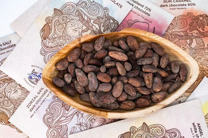 Craft Chocolate Tasting
