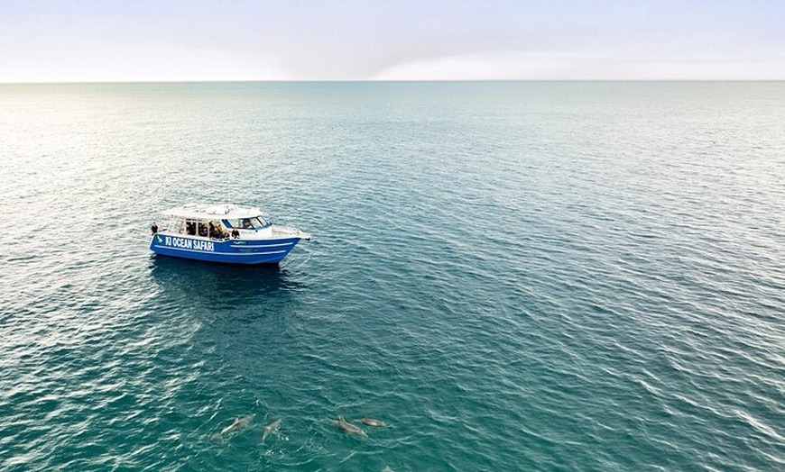 Image 8: Kangaroo Island Ultimate Adventure Tour departing Penneshaw