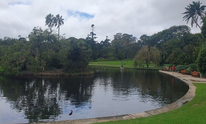 Image 6: Guided Walking Tour in Sydney City with Lunch