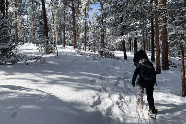 Snowshoeing Adventure in the Rocky Mountains Close to Denver