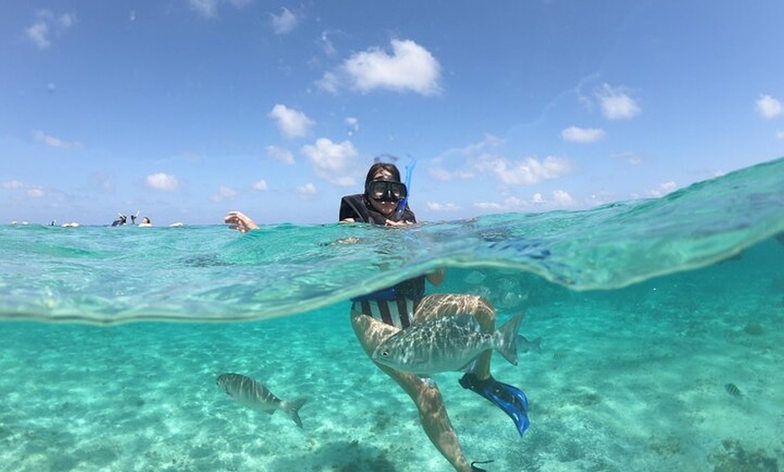 Image 5: Cancun Speed Boat, Parasailing and Dolphin Beach with Transport