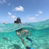 Image 5: Cancun Speed Boat, Parasailing and Dolphin Beach with Transport