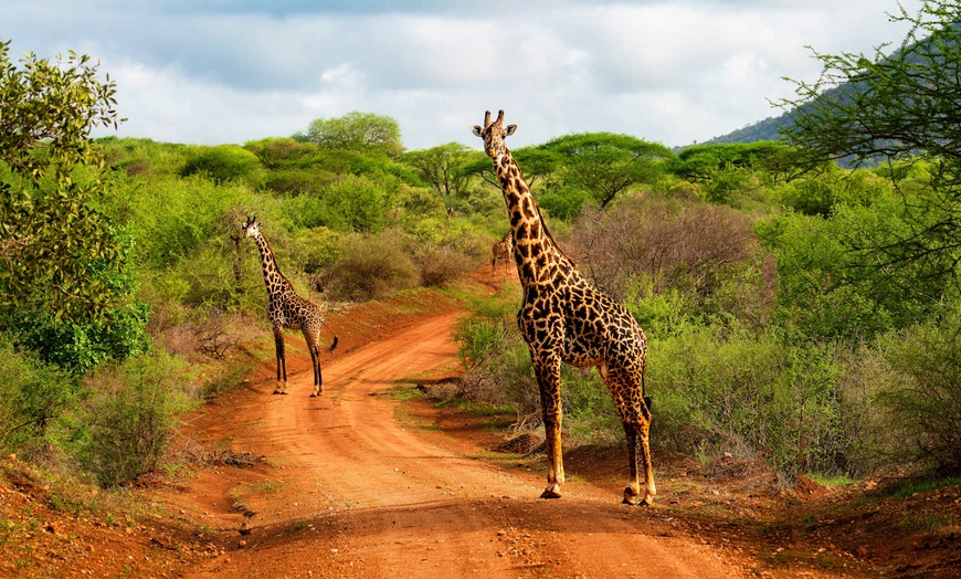 Image 8: ✈ KENYA | Mombasa - Réserves naturelles et plage au Kenya 3*, 10 no...