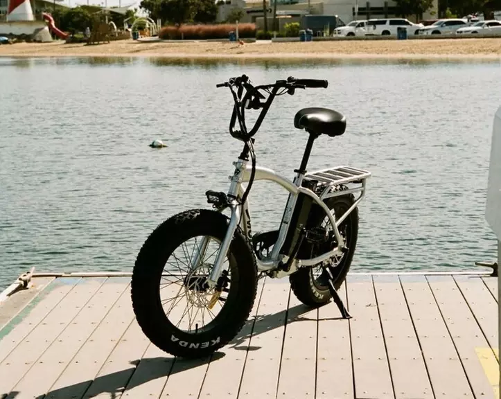 $65 For A 4-Hour Rental For 2 E-Bikes (Reg. $130)