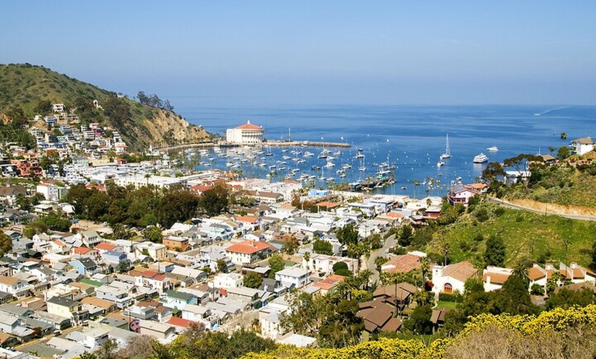 Image 7: Catalina Island Day Trip from Los Angeles with Optional Upgrades