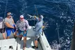 6-Hour Private Sportfishing Charter in Fort Lauderdale - Second Medium
