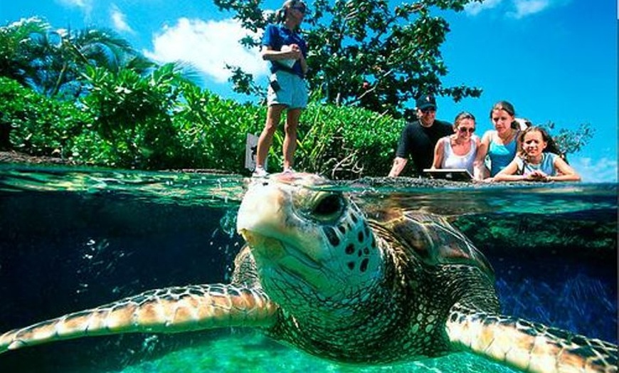 Image 2: Acuario de Palma con autobús de vuelta desde Port Alcudia