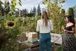 Okanagan Bee Tour and Lunch at Winery in Kelowna - Second Medium