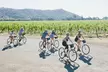 Vine Trail Discovery E-Bike Tour - Second Medium