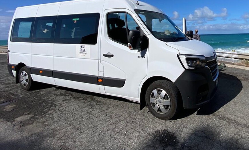 Image 3: Great Ocean Road Tour with Spanish Guide from Melbourne