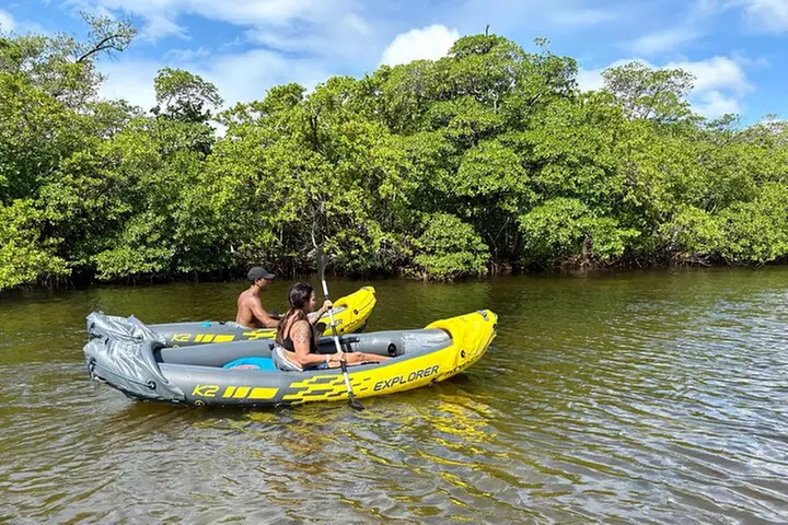 Fort Lauderdale: Kayak/SUP on Mangroves w/ Snacks & Drinks