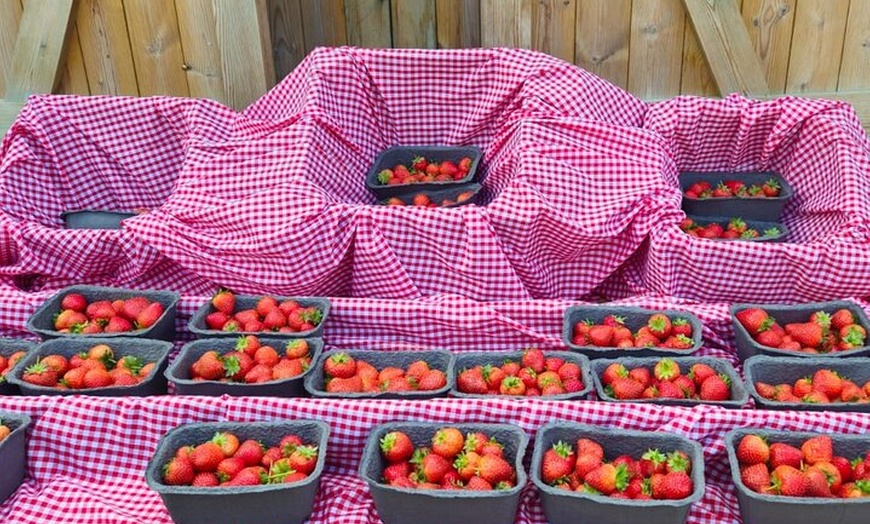 Image 3: Private Tour Clarkson's Farm Filming Locations Cotswolds tour