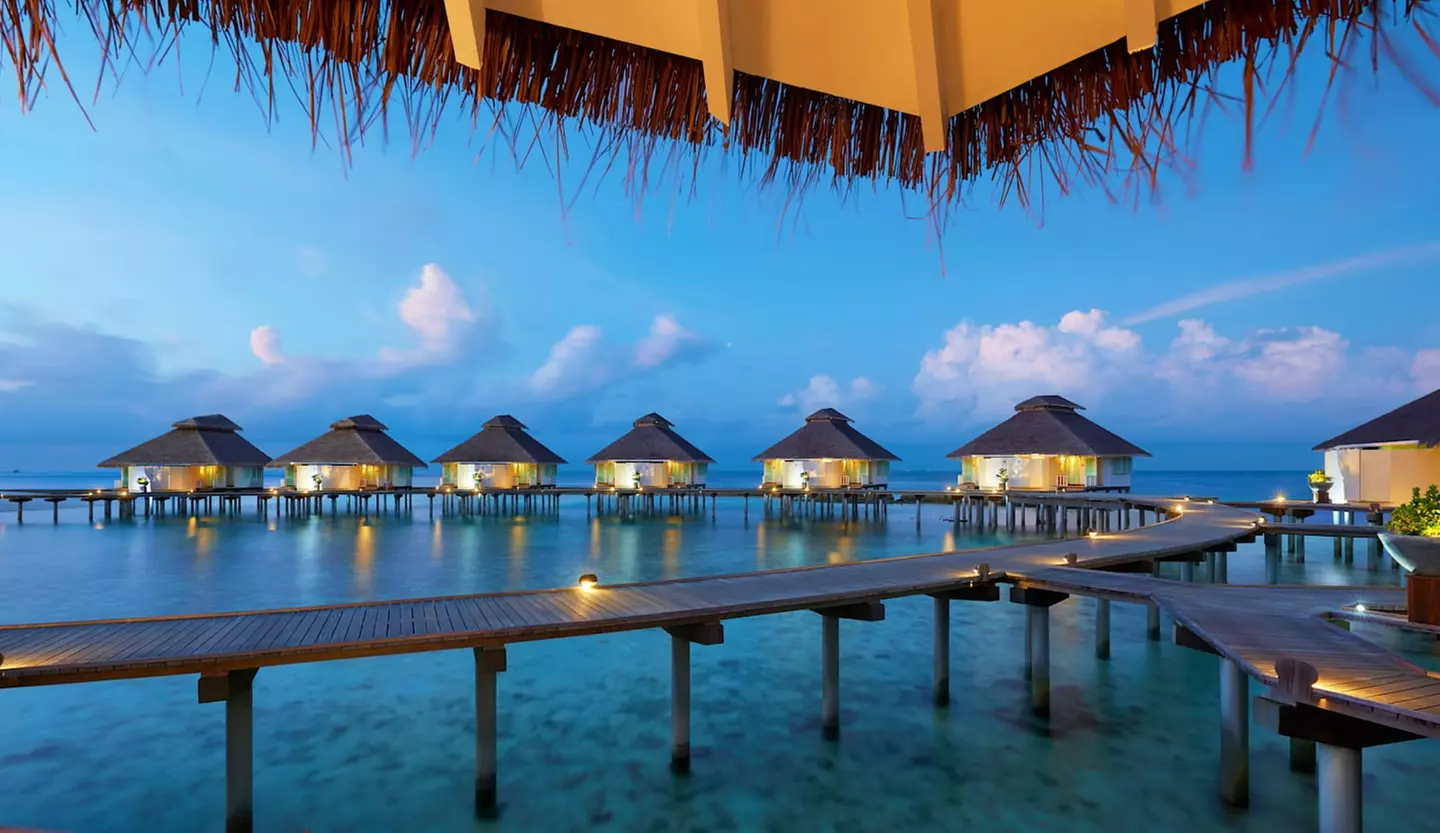 ✈ MALDIVES | Nord d'Ari Atoll - Ellaidhoo Maldives by Cinnamon - Pieds dans l'eau 4*, 5 nuit - Pension complète - Primary Image