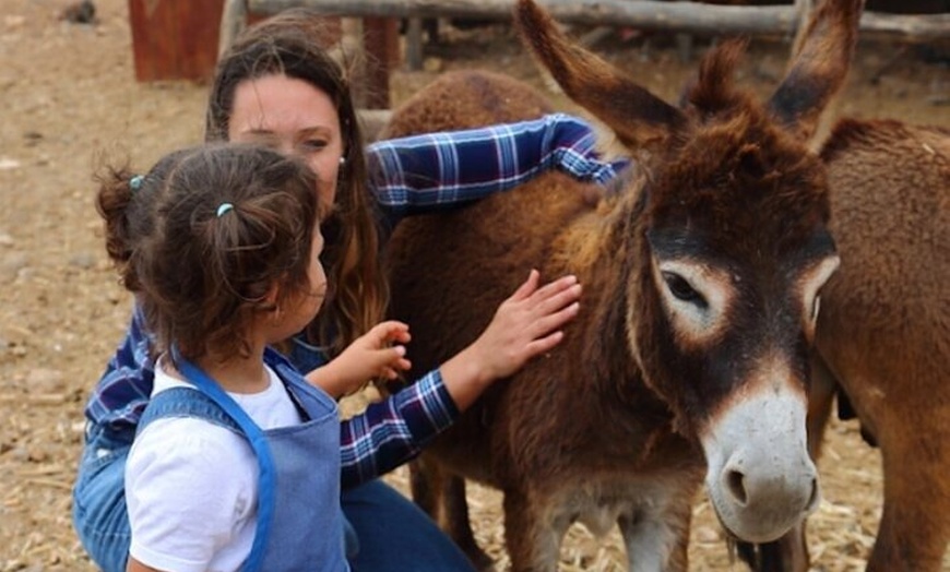 Image 5: Granjera o Granjero por un Día con Degustación