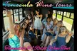 Temecula's Premier Wine Tasting Tour - Second Medium