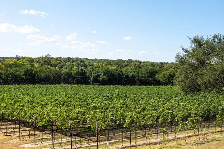 Half-Day Hill Country Wine Shuttle From Austin