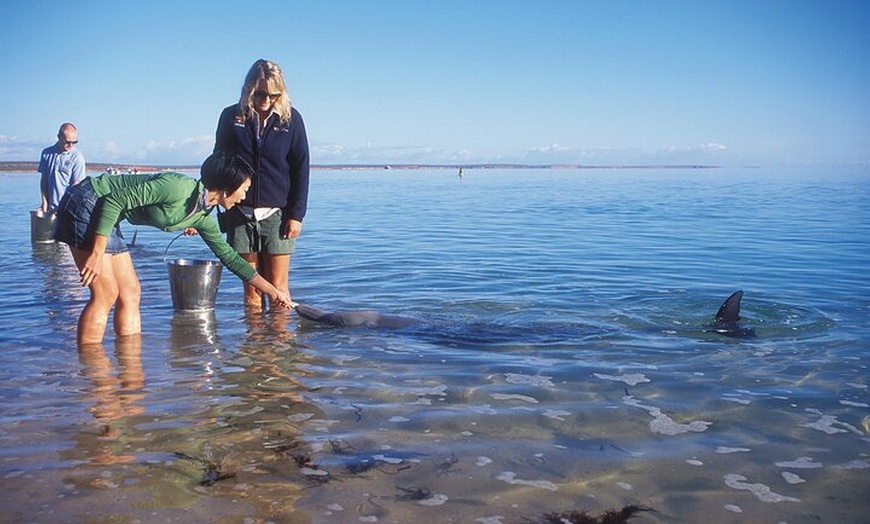 Image 18: Perth to Exmouth & Ningaloo Reef 8 Day Small-Group Boutique Tour