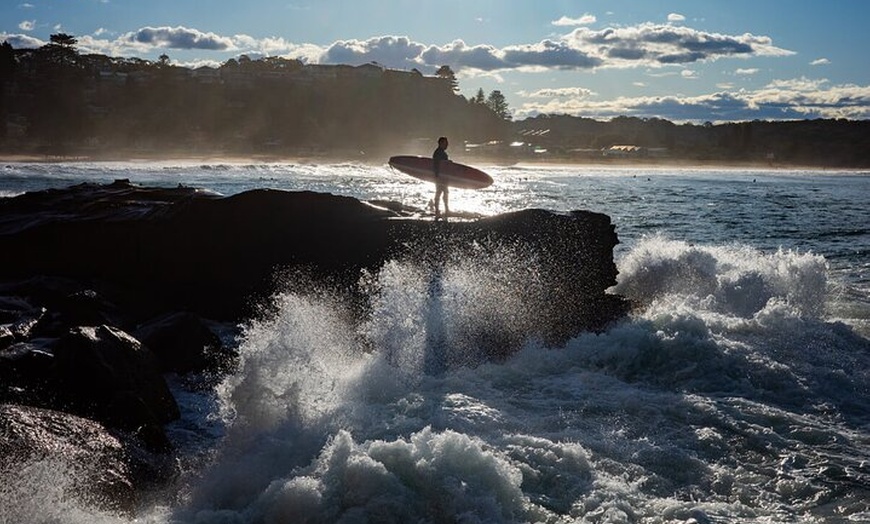 Image 5: Quad Biking, Koalas and Kangaroos - Private Tour