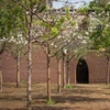 Image 6: Billet d'Entrée Musée Unterlinden