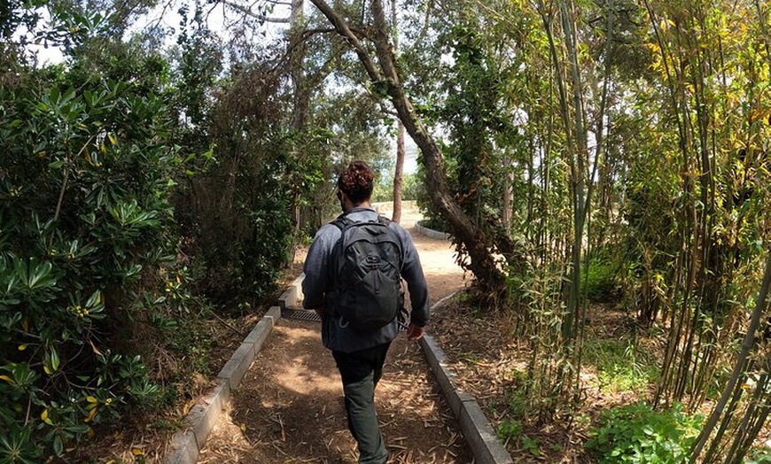 Image 26: Barcelona : Rutas Costeras de la Costa Brava, Snorkel, Cliff-Jump &...