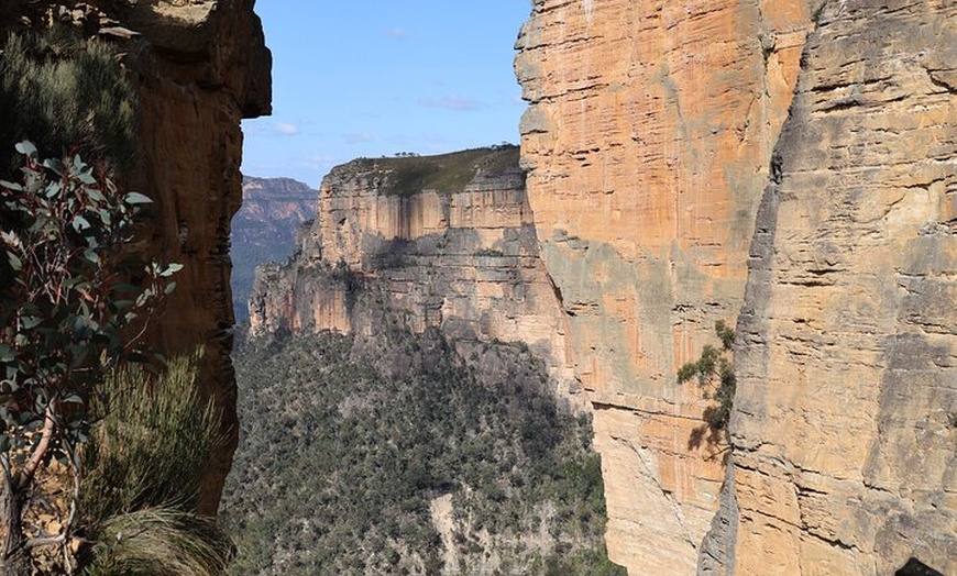 Image 42: Blue Mountains Private Tour