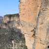 Image 42: Blue Mountains Private Tour