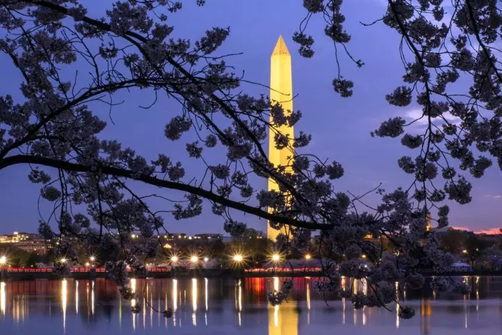 National Mall Night Tour with 10+ Attractions & Cherry Blossoms - Primary Image