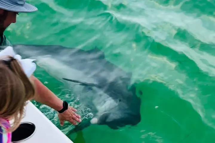 Destin Private Boat Tours Dolphin Crab Island Snorkel Sunset