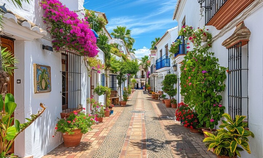 Image 3: Explora Marbella en 60 minutos con un Local