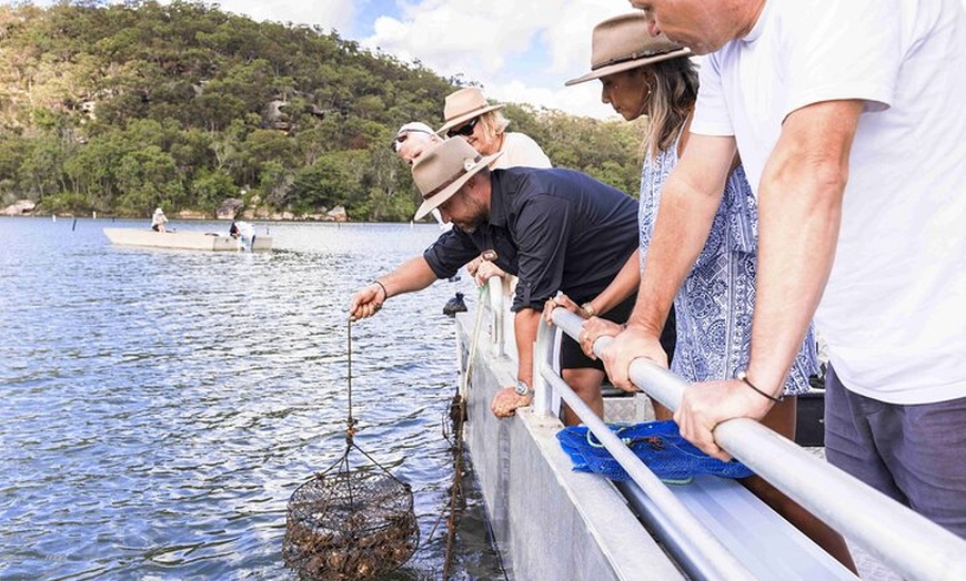 Image 3: Broken Bay Pearl & Oyster Farm Tours