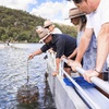 Image 3: Broken Bay Pearl & Oyster Farm Tours