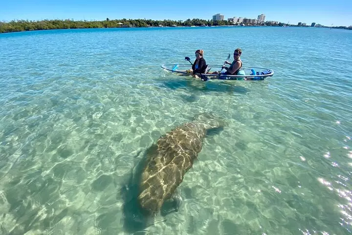 Guided Clear Kayak Eco-Tour of Jupiter