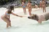 Piggy Splash Dash Of Rose Island Group Tour