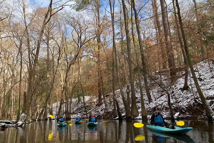 Guided Congaree National Park Kayak Tour