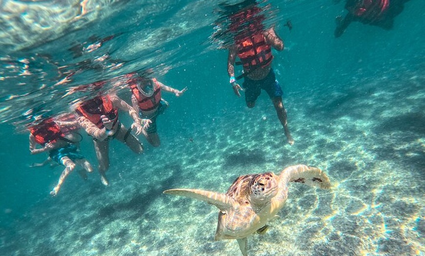 Image 4: Tulum Ruins, Sea Turtles & Cenote Swim Adventure Tour