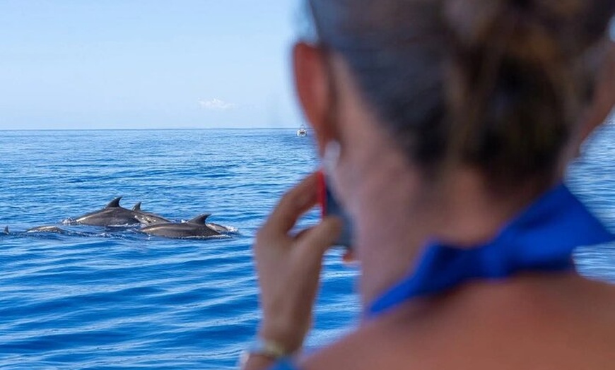 Image 2: Viaje en barco con fondo de cristal de observación de delfines de 3...