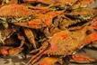 $25 For $50 Worth Of Crabs - Second Medium