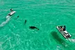 2 Passenger Jet Ski Dolphin Tour from Gilligan's Watersports - Image 2