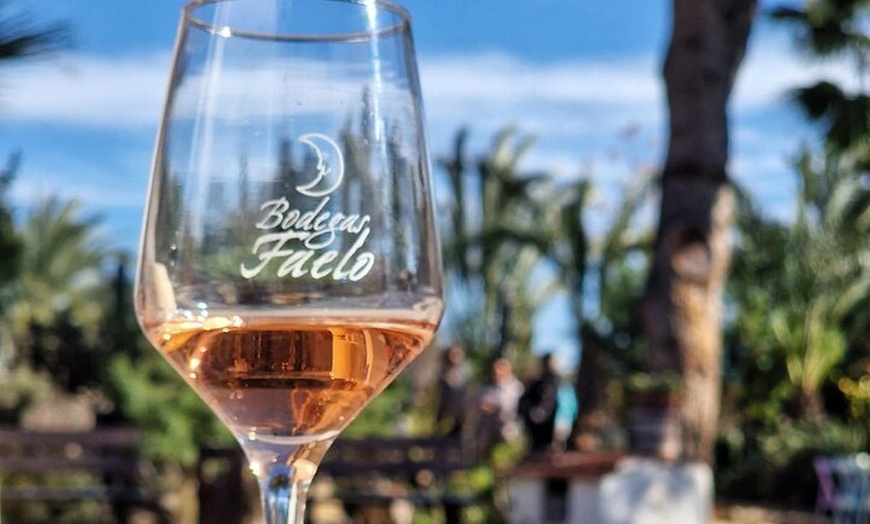 Image 7: Alicante; Recorrido Vinícola Bodega Cata Vinos, Comida y Traslado