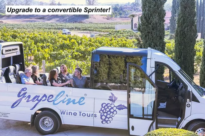 Temecula Valley Wine Tour with Tastings & ​Lunch Included
