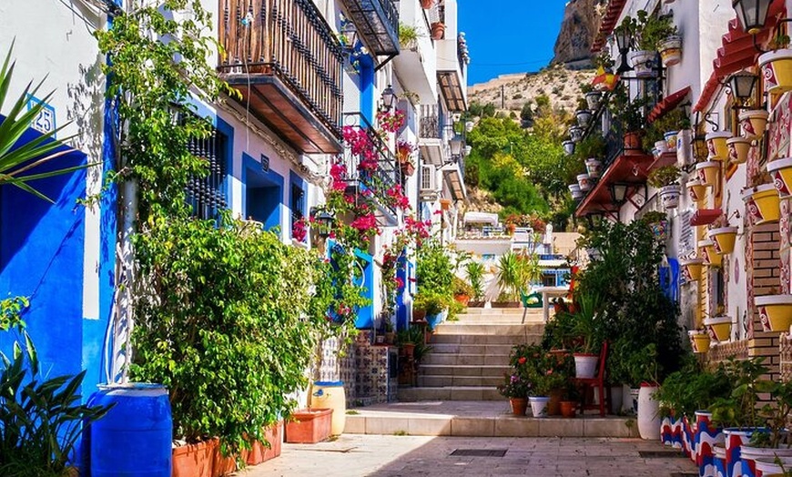 Image 3: Alicante Secreto: Tour de Tapas, Vinos y Rincones Ocultos