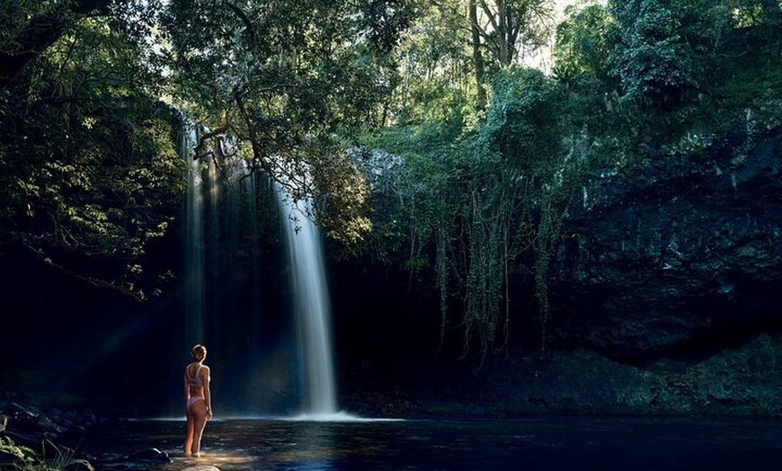 Image 8: Byron Bay Discovery Day from Gold Coast