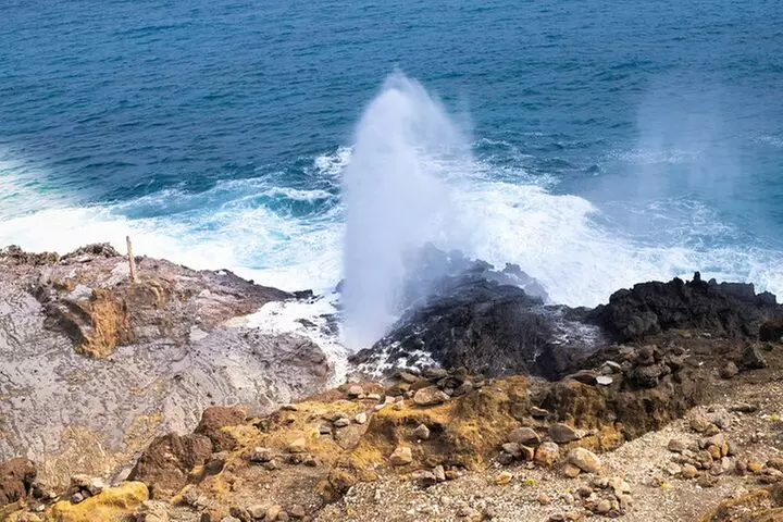 Private Half Day East Oahu Escape