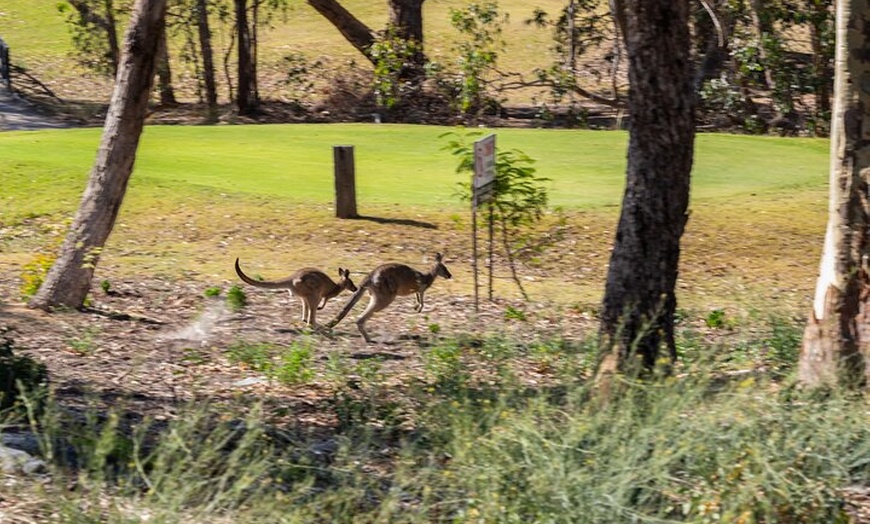 Image 17: Great Ocean Road Reverse Itinerary Boutique Tour - Max 11 Guests