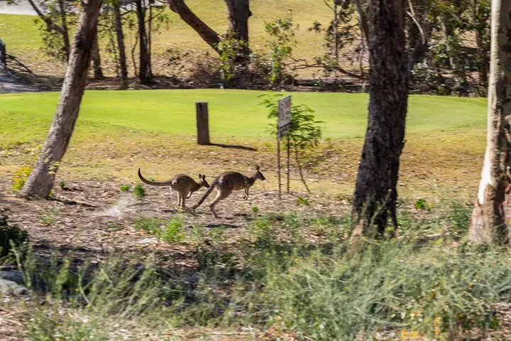 Great Ocean Road Reverse Itinerary Boutique Tour - Max 12 Guests