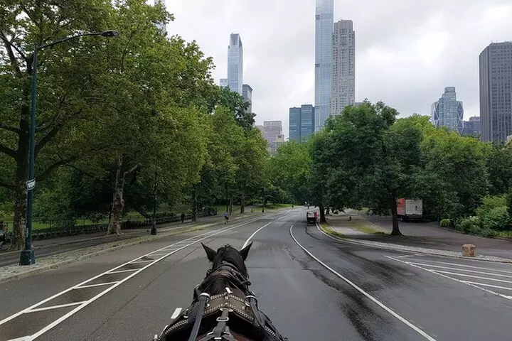 Full loop Private Horse Carriage Ride in Central Park 45 Minutes
