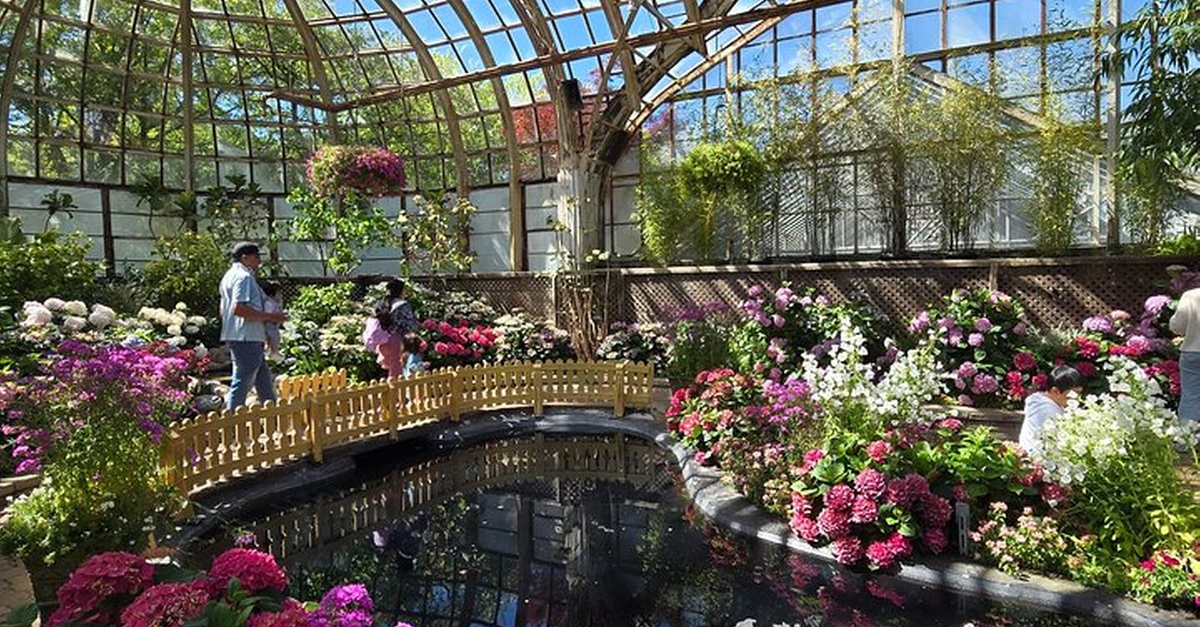 Lincoln Park Zoo & Nature Museum Private Tour