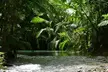 Private Luxury Cape Tribulation Adventure and Crocodile Cruise - Image 5