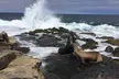 Full Day Private SD Tour from Encinitas - Second Medium